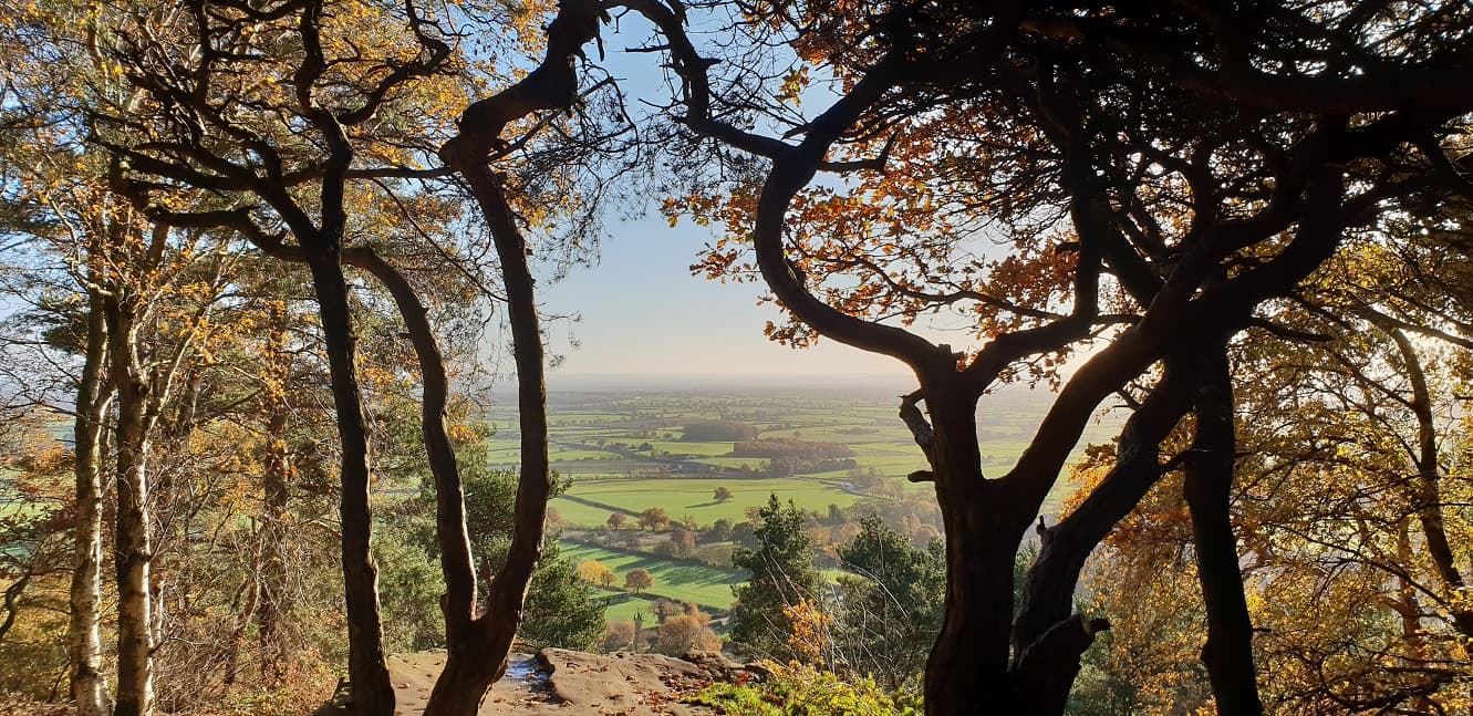 View across the Cheshire countryside through autumn tree branches